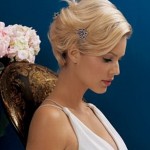 chignon wedding hairstyles 3